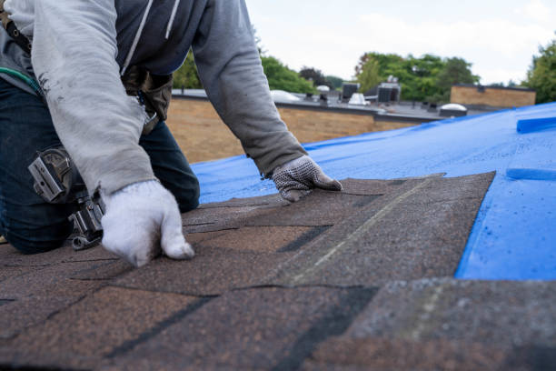 Roof Gutter Cleaning in Riverview Park, PA