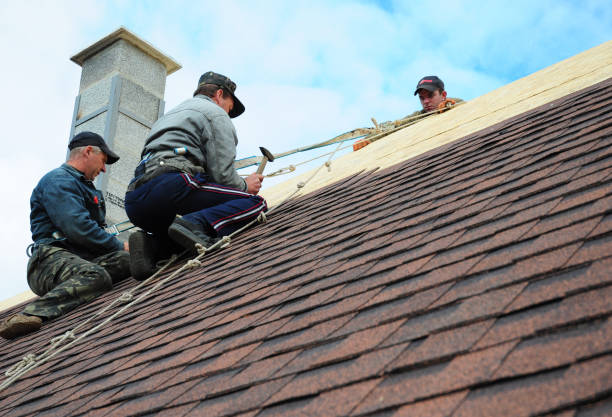 Quick and Trustworthy Emergency Roof Repair Services in Riverview Park, PA
