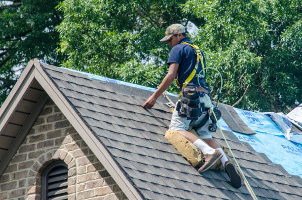 Best Gutter Installation and Roofing  in Riverview Rk, PA